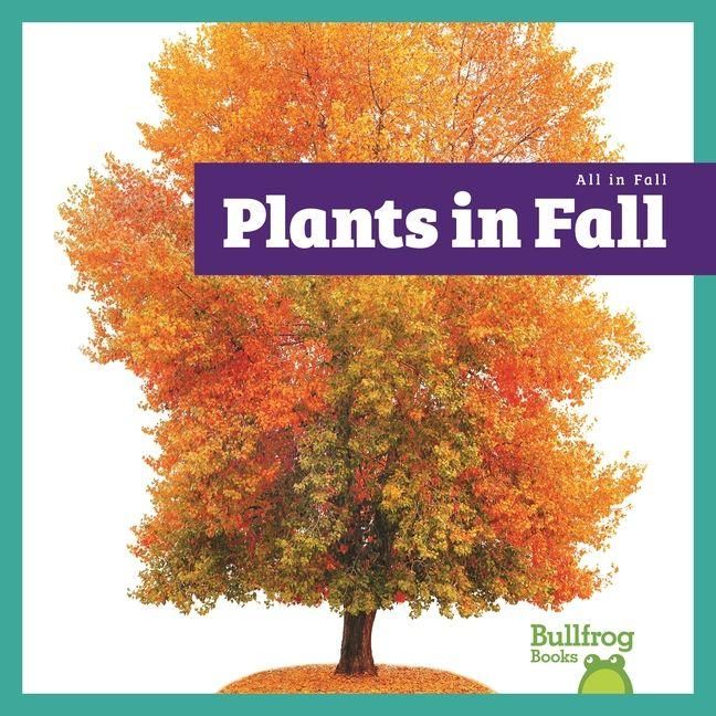 Produktbild: Plants in Fall