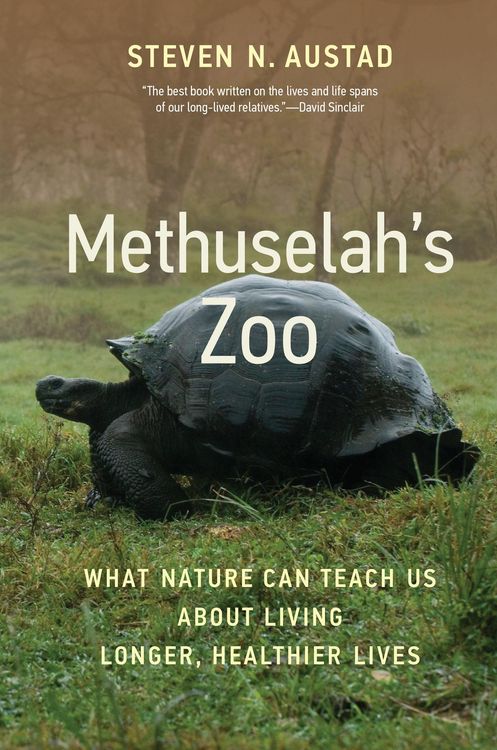 Produktbild: Methuselah's Zoo