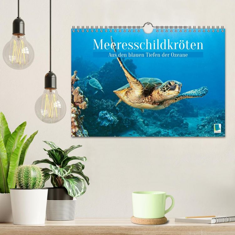Produktbild: Meeresschildkr&ouml;ten: Aus den blauen Tiefen der Ozeane (Wandkalender 2026 DIN A4 quer), CALVENDO Monatskalender