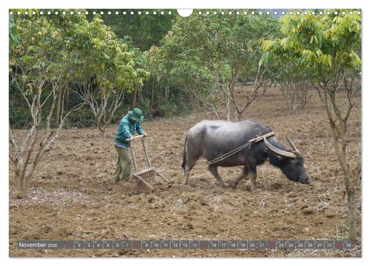 Produktbild: Menschen in Vietnam (Wandkalender 2026 DIN A3 quer), CALVENDO Monatskalender