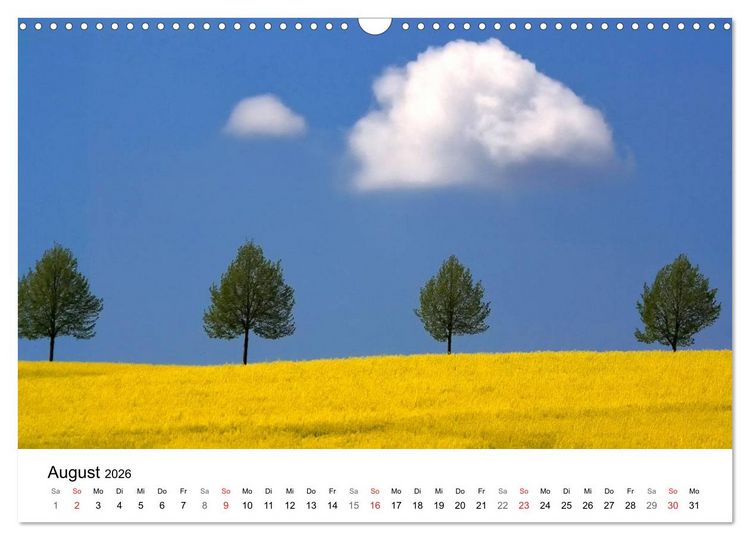 Produktbild: Rapsodie (Wandkalender 2026 DIN A3 quer), CALVENDO Monatskalender