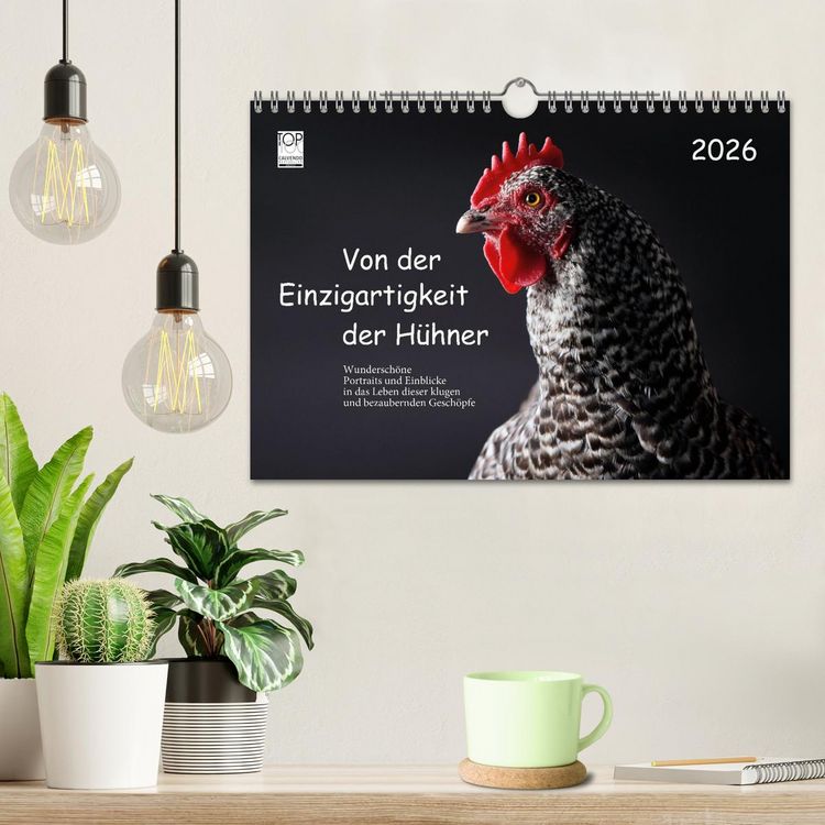 Produktbild: Von der Einzigartigkeit der H&uuml;hner 2026 (Wandkalender 2026 DIN A4 quer), CALVENDO Monatskalender