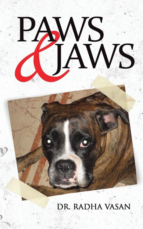 Produktbild: Paws & Jaws