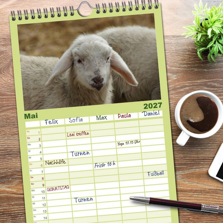 Produktbild: Familienplaner 2027 - Das Leben der Schafe mit 5 Spalten (Wandkalender, 21 x 45 cm) CALVENDO
