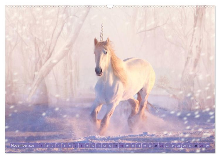 Produktbild: Einhorn Welt - vertr&auml;umte Einhornbilder (hochwertiger Premium Wandkalender 2026 DIN A2 quer), Kunstdruck in Hochglanz