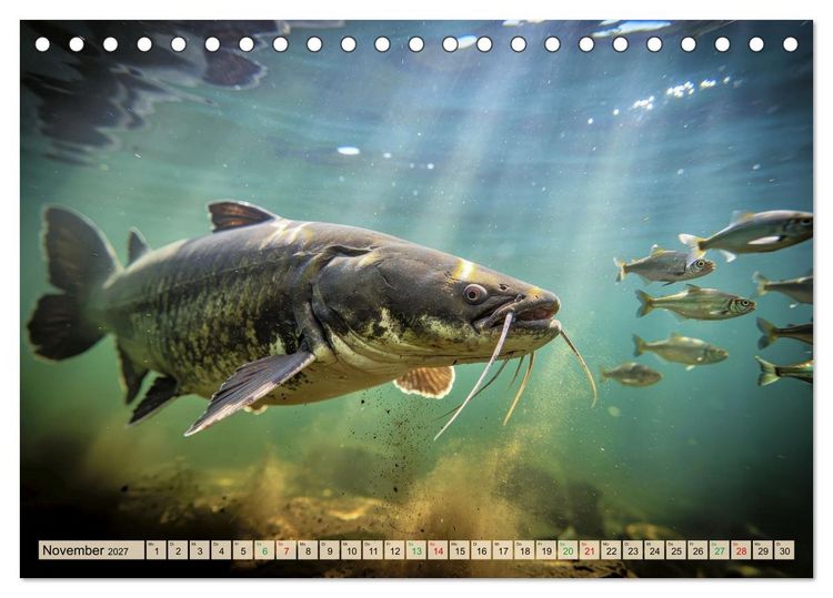 Produktbild: Talsperren - Raubfische (Tischkalender 2027 DIN A5 quer), CALVENDO Monatskalender
