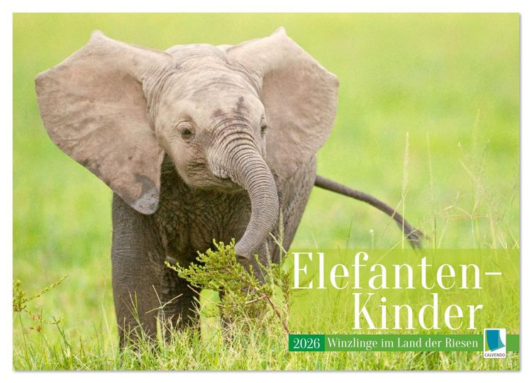 Produktbild: Elefanten Kinder: Winzlinge im Land der Riesen (Wandkalender 2026 DIN A4 quer), CALVENDO Monatskalender
