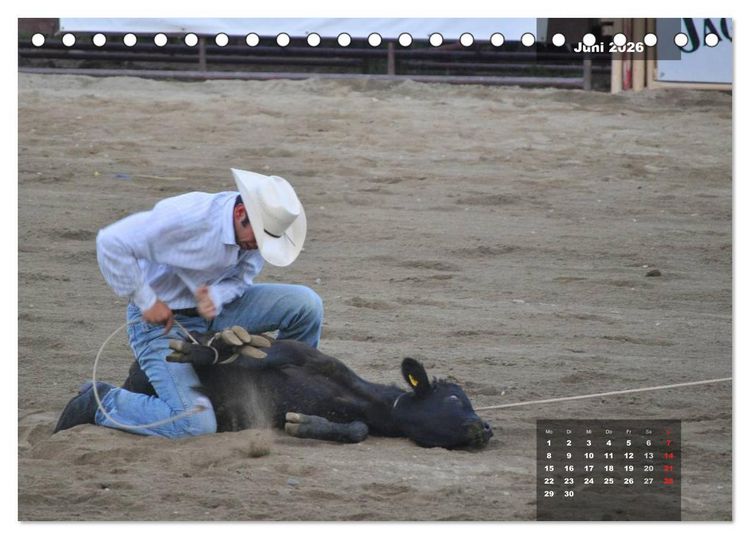 Produktbild: Faszination Rodeo (Tischkalender 2026 DIN A5 quer), CALVENDO Monatskalender