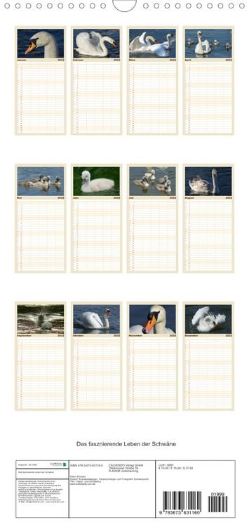 Produktbild: Das faszinierende Leben der Schw&auml;ne - Familienplaner hoch (Wandkalender 2022 , 21 cm x 45 cm, hoch)
