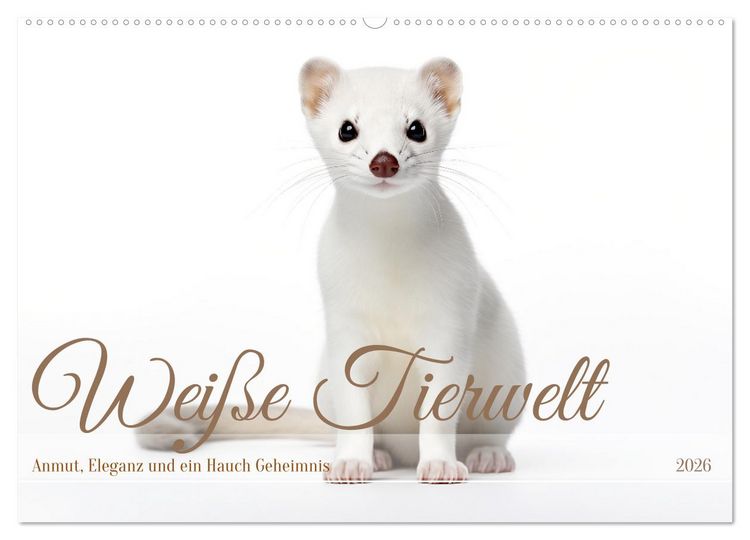 Produktbild: Wei&szlig;e Tierwelt (Wandkalender 2026 DIN A2 quer), CALVENDO Monatskalender