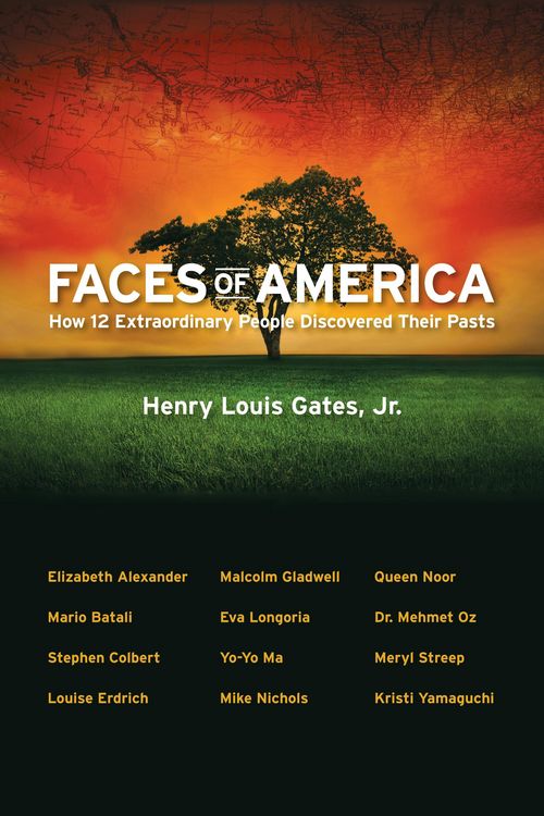 Produktbild: Faces of America
