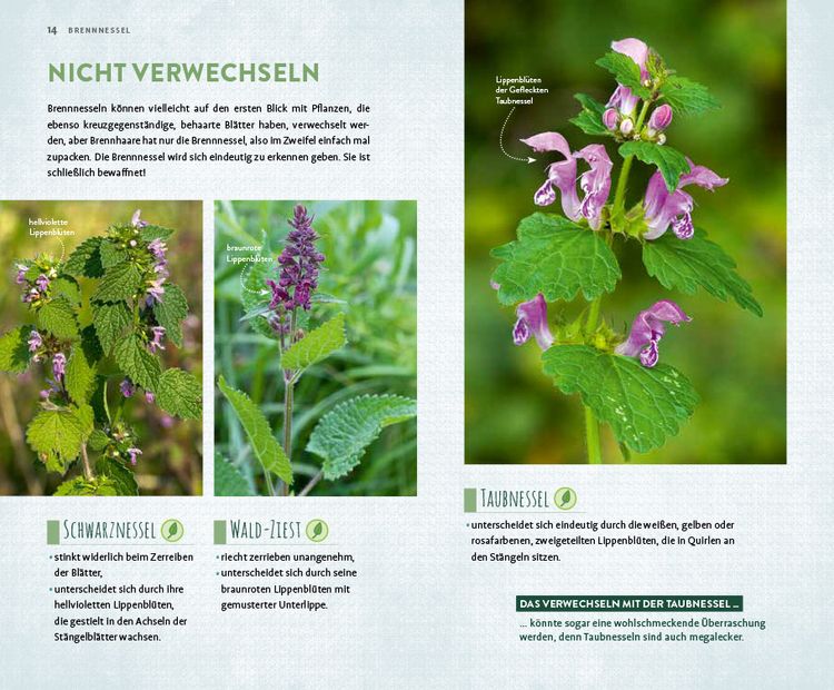 Produktbild: Megal&auml;stig &ndash; megalecker &ndash; megagesund