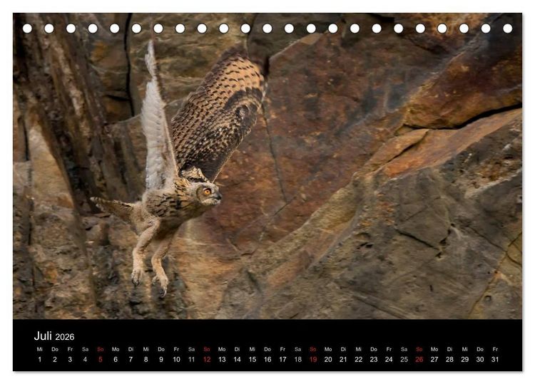 Produktbild: Uhu - K&ouml;nig der Nacht (Tischkalender 2026 DIN A5 quer), CALVENDO Monatskalender