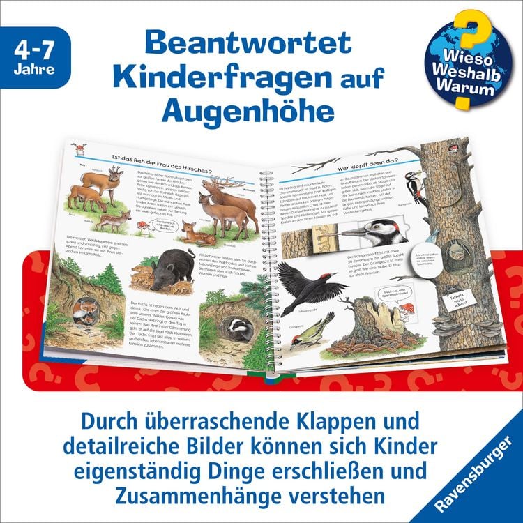 Produktbild: Wieso? Weshalb? Warum? Kernreihe, Band 46 - Wir entdecken den Wald