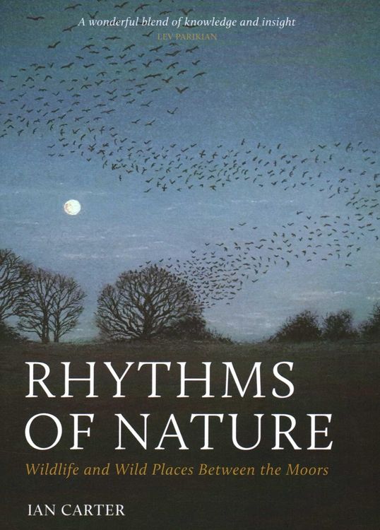 Produktbild: Rhythms of Nature
