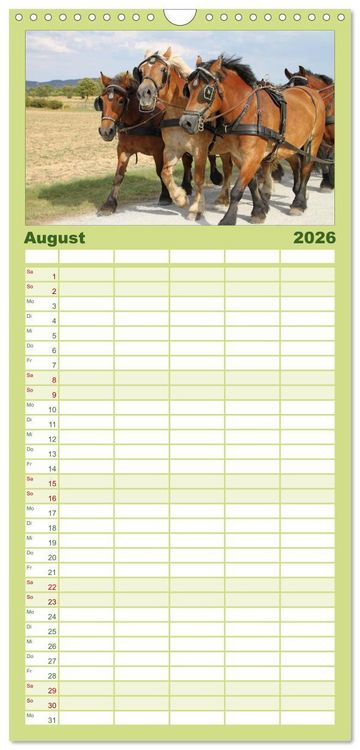 Produktbild: Familienplaner 2026 - Starke Pferde bei der Arbeit mit 5 Spalten (Wandkalender, 21 x 45 cm) CALVENDO