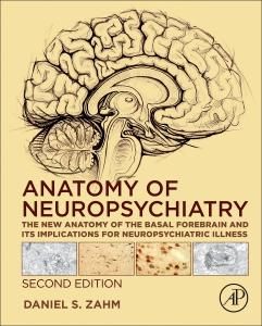 Produktbild: Zahm, D: Anatomy of Neuropsychiatry