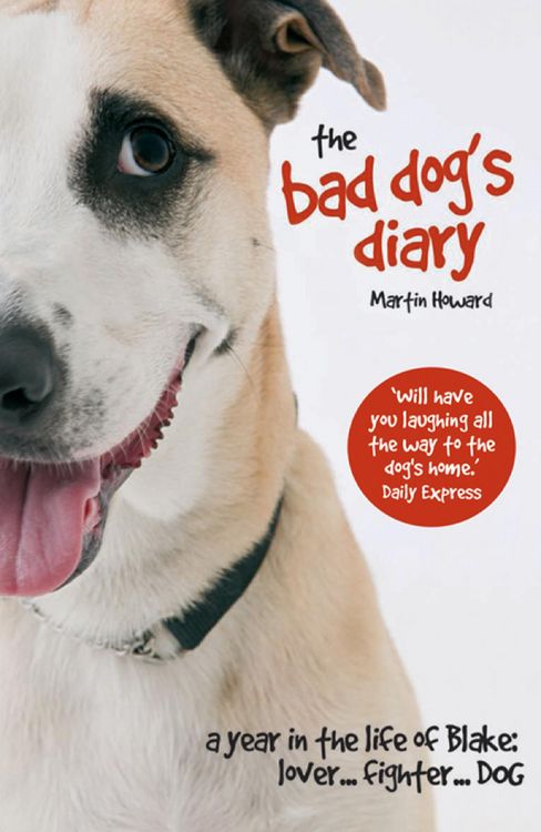Produktbild: The Bad Dog's Diary