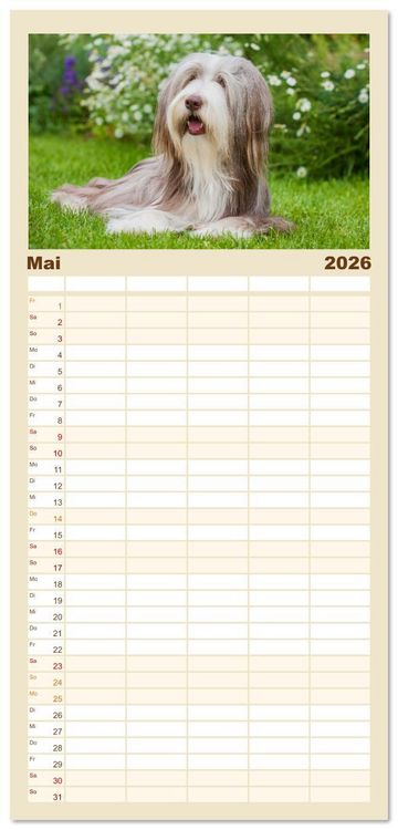 Produktbild: Familienplaner 2026 - Britische H&uuml;tehunde - Treue Freunde auf vier Pfoten mit 5 Spalten (Wandkalender, 21 x 45 cm) CALVENDO