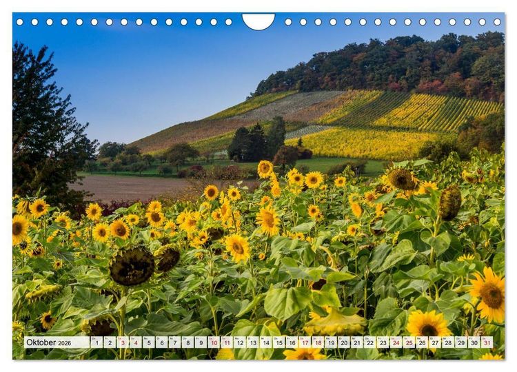 Produktbild: Sch&ouml;ner Kraichgau (Wandkalender 2026 DIN A4 quer), CALVENDO Monatskalender