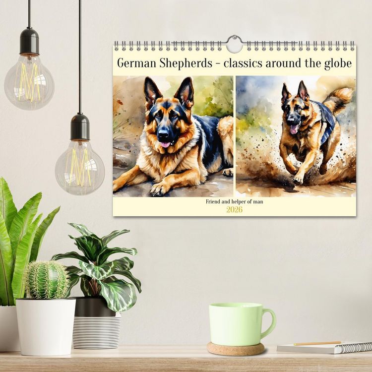 Produktbild: German Shepherds - classics around the globe (Wall Calendar 2026 DIN A4 landscape), CALVENDO 12 Month Wall Calendar