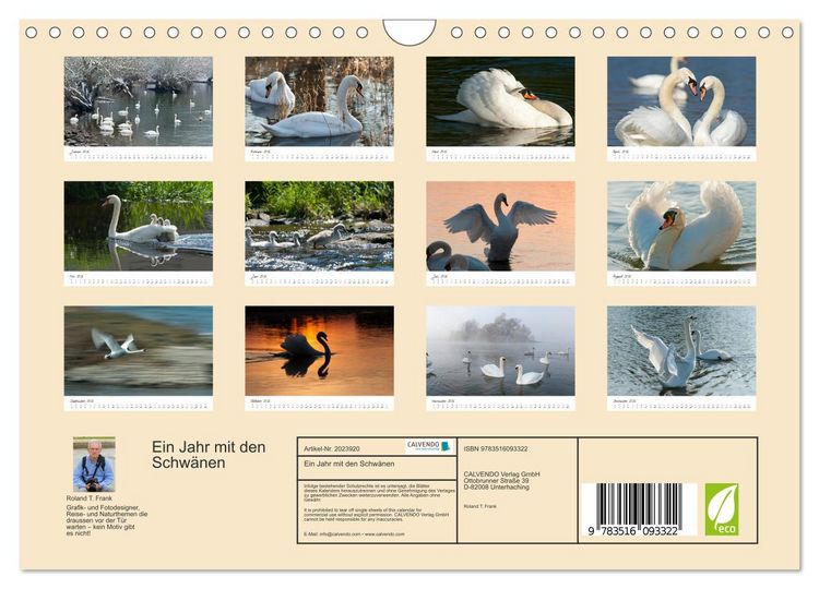 Produktbild: Ein Jahr mit den Schw&auml;nen (Wandkalender 2026 DIN A4 quer), CALVENDO Monatskalender