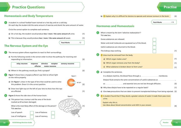 Produktbild: AQA GCSE 9-1 BIOLOGY_GCSE GRAD