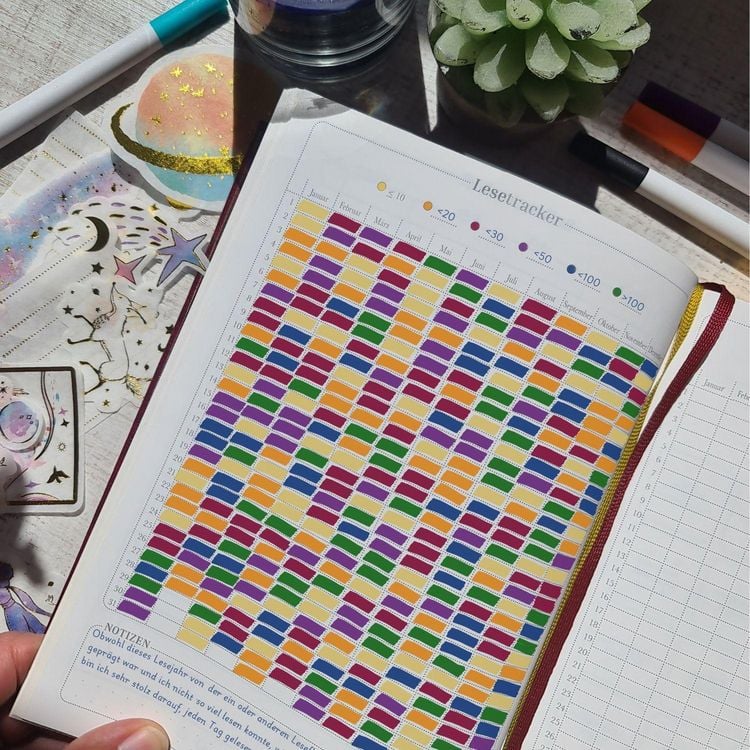 Produktbild: Das Panini Lesejournal