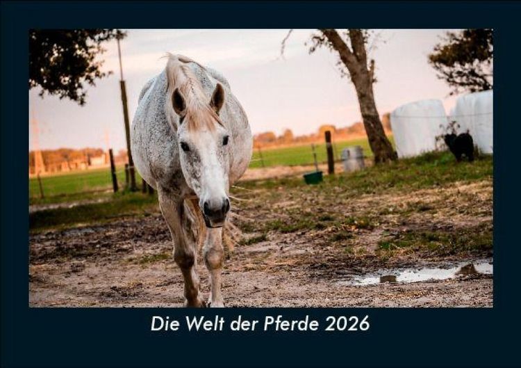Produktbild: Die Welt der Pferde 2026 Fotokalender DIN A5