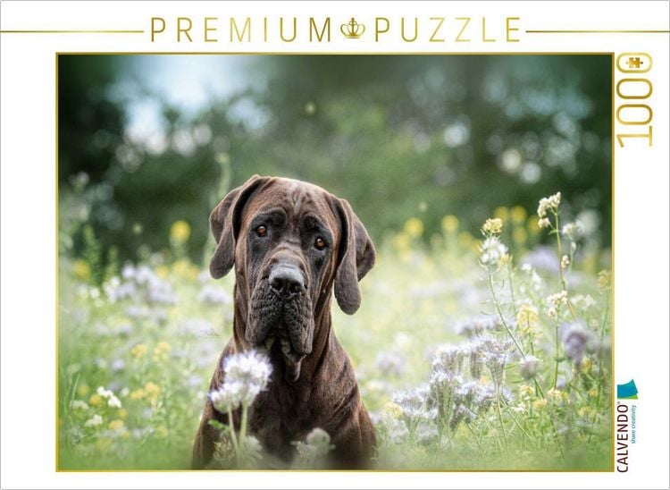 Produktbild: CALVENDO Puzzle Tosa Inu | 1000 Teile Lege-Gr&ouml;&szlig;e 64x48cm Foto-Puzzle f&uuml;r gl&uuml;ckliche Stunden