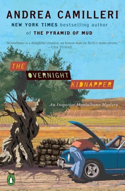 Produktbild: The Overnight Kidnapper