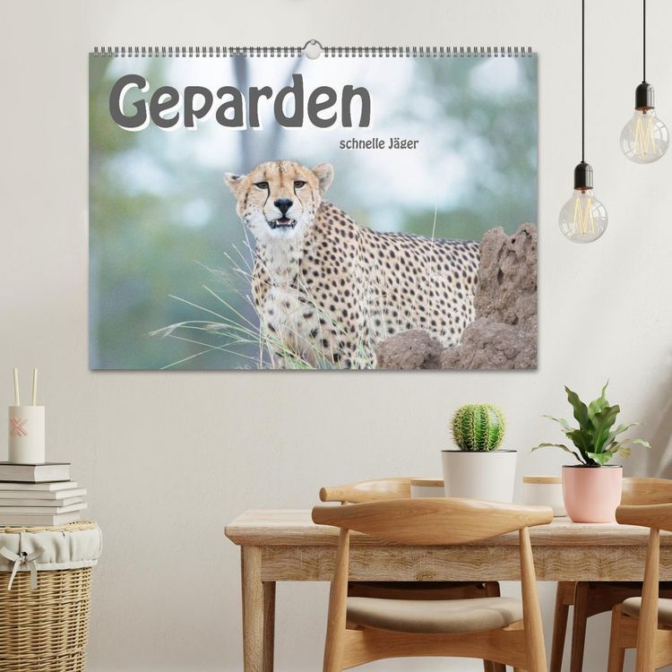 Produktbild: Geparden - schnelle J&auml;ger (Wandkalender 2026 DIN A2 quer), CALVENDO Monatskalender