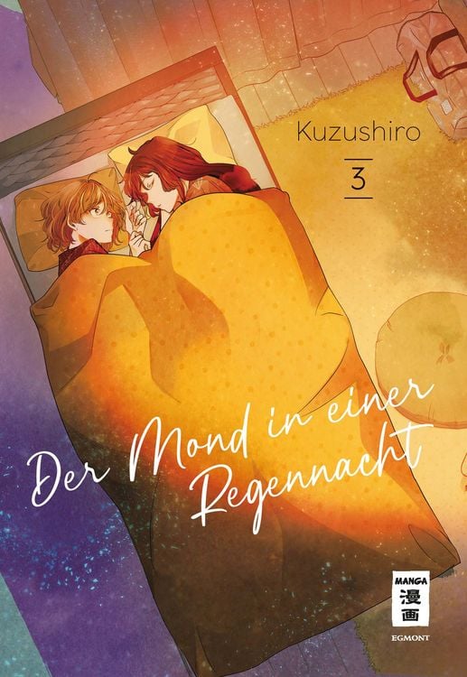 Produktbild: Der Mond in einer Regennacht 03