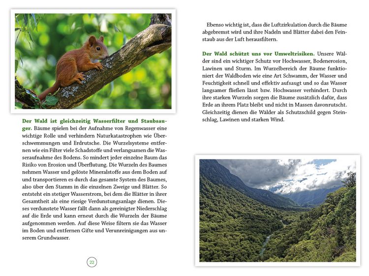 Produktbild: Wohlf&uuml;hlort Wald