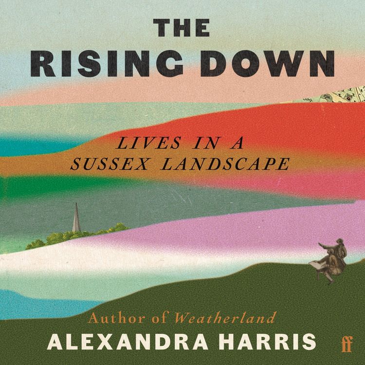 Produktbild: The Rising Down