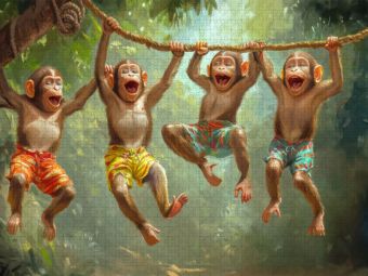Produktbild: CALVENDO Puzzle Tiere wollen Spa&szlig; haben | 1000 Teile Lege-Gr&ouml;&szlig;e 64x48cm Foto-Puzzle f&uuml;r gl&uuml;ckliche Stunden