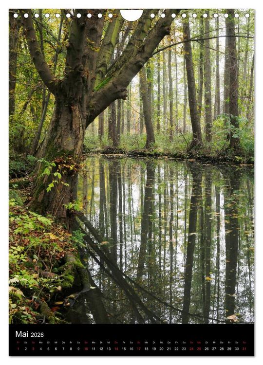 Produktbild: Wunderbarer Spreewald (Wandkalender 2026 DIN A4 hoch), CALVENDO Monatskalender