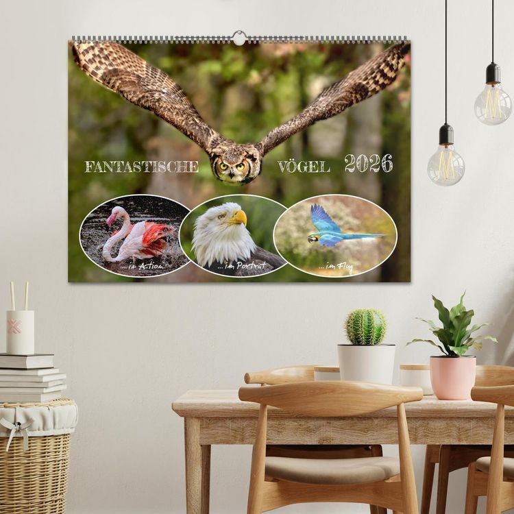Produktbild: Fantastische V&ouml;gel (Wandkalender 2026 DIN A2 quer), CALVENDO Monatskalender