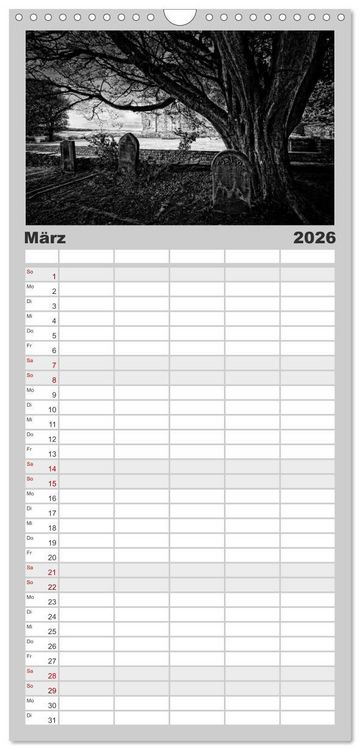 Produktbild: Familienplaner 2026 - Gothic Fantasy mit 5 Spalten (Wandkalender, 21 x 45 cm) CALVENDO