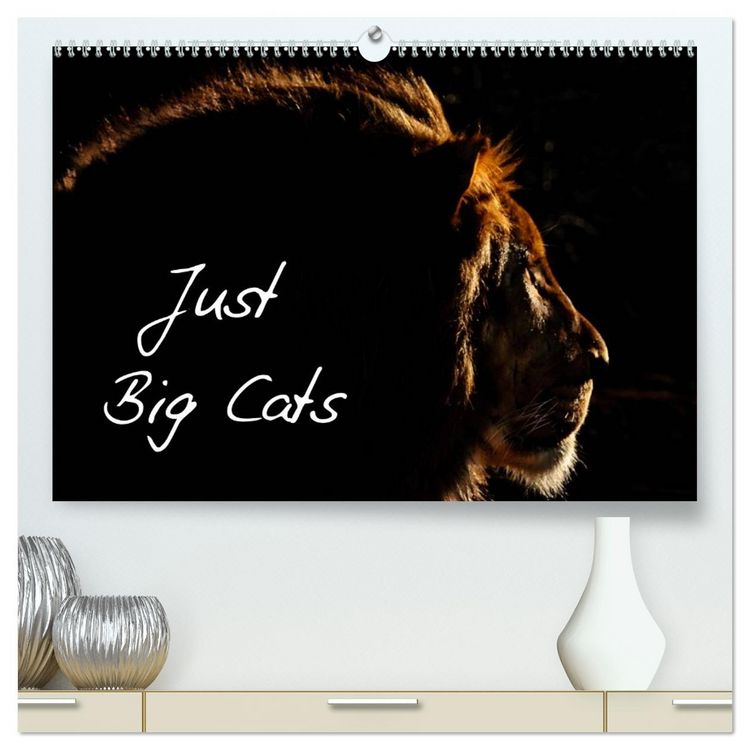 Produktbild: Just Big Cats (High Quality Premium Wall Calendar 2026 DIN A2 landscape),CALVENDO 12 Month Wall Calendar