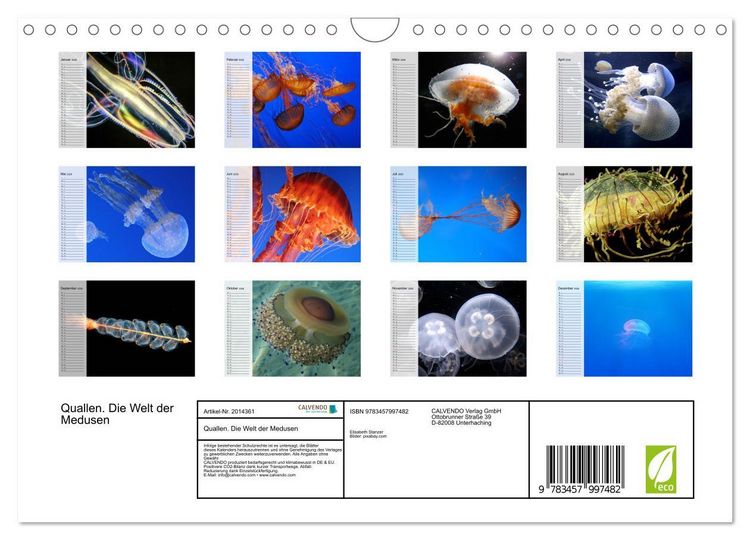 Produktbild: Quallen. Die Welt der Medusen (Wandkalender 2026 DIN A4 quer), CALVENDO Monatskalender