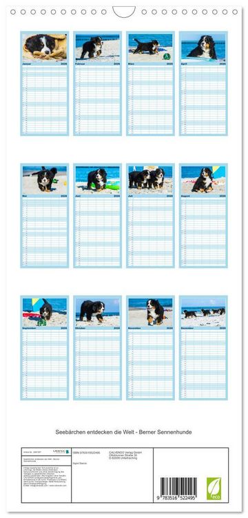 Produktbild: Familienplaner 2026 - Seeb&auml;rchen entdecken die Welt - Berner Sennenhunde mit 5 Spalten (Wandkalender, 21 x 45 cm) CALVENDO
