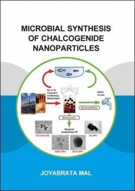 Produktbild: Mal, J: Microbial Synthesis of Chalcogenide Nanoparticles