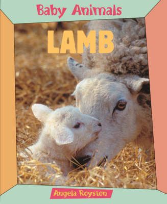 Produktbild: Royston, A: Lamb