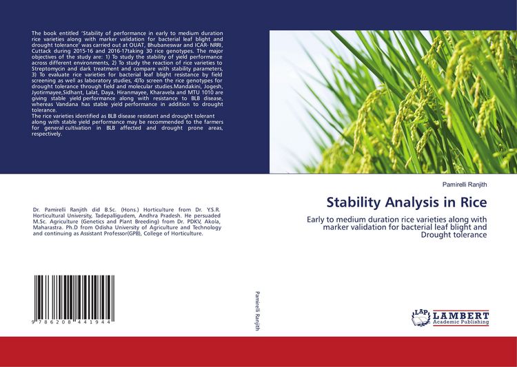 Produktbild: Stability Analysis in Rice