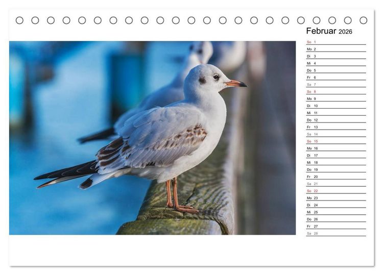 Produktbild: Ostseebad Binz &ndash; Zeit f&uuml;r Erholung (Tischkalender 2026 DIN A5 quer), CALVENDO Monatskalender
