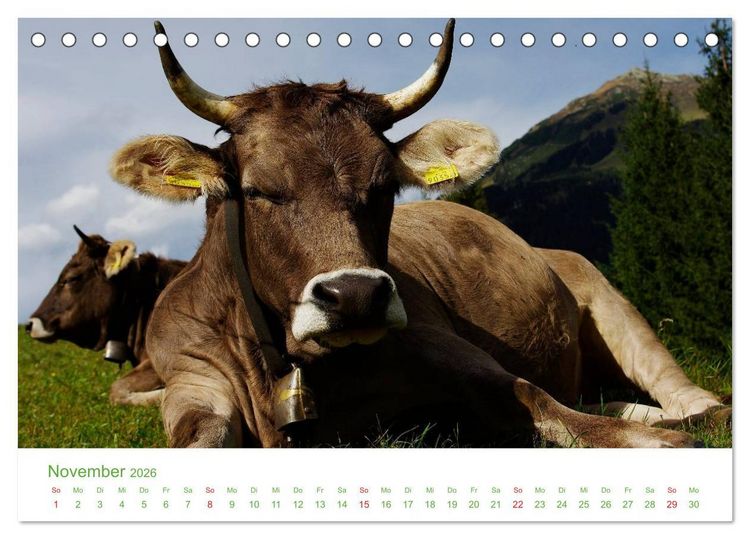 Produktbild: Bergwelt in &Ouml;sterreich (Tischkalender 2026 DIN A5 quer), CALVENDO Monatskalender
