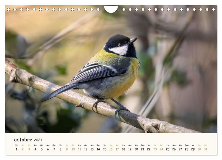 Produktbild: Les voisins du jardin - Une ann&eacute;e de rencontres (Calendrier mural 2027 DIN A4 vertical), CALVENDO calendrier mensuel