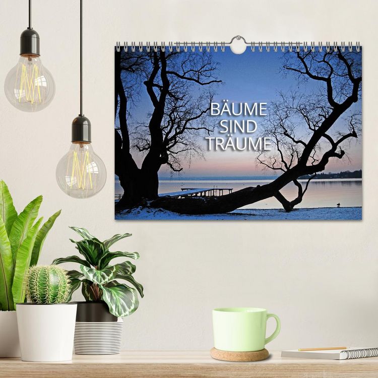Produktbild: B&auml;ume sind Tr&auml;ume (Wandkalender 2026 DIN A4 quer), CALVENDO Monatskalender