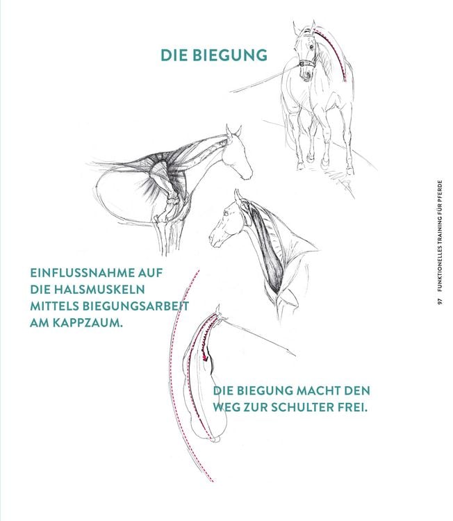 Produktbild: Die Kraft der Diagonalen